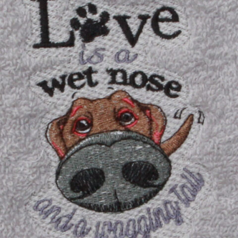 wet-nose-close-up.jpg