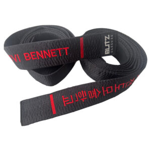 Embroidered Martial Arts Belt